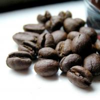 ﻿ Кофейное дерево, выращиваем кофе дома Плоды кофейного дерева