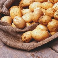 Где хранить картошку дома